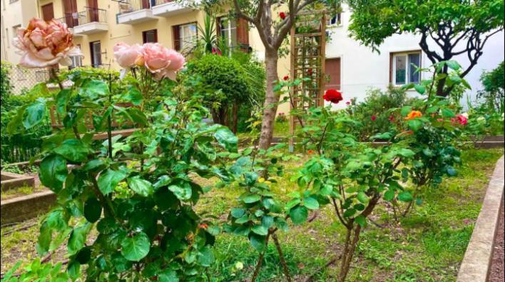 L'Avenir Du Ray Apartment นีซ ภายนอก รูปภาพ